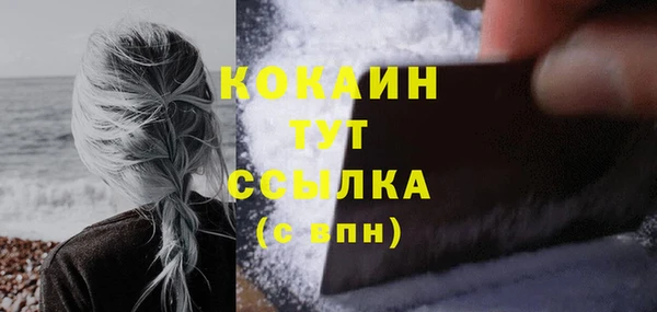 бошки Новодвинск
