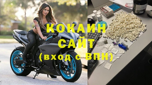 скорость Новозыбков