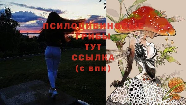 метамфетамин Дегтярск