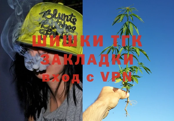 бошки Новодвинск
