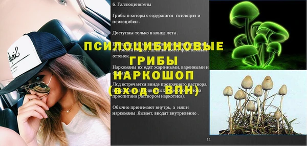 скорость Новозыбков