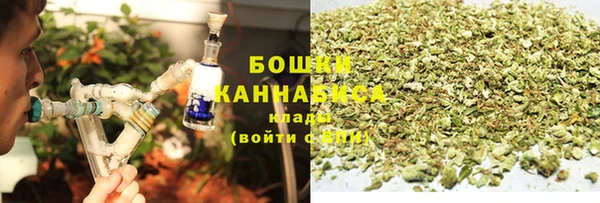скорость Новозыбков