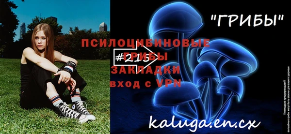 бошки Новодвинск