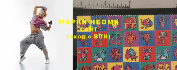 бошки Новодвинск