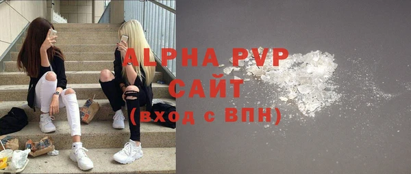 скорость Новозыбков