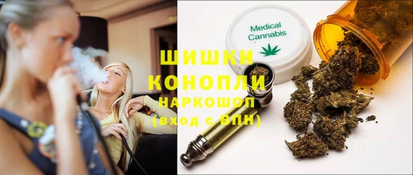 бошки Новодвинск