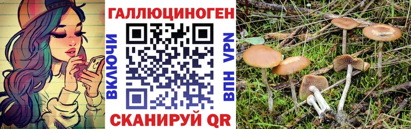 Псилоцибиновые грибы Cubensis  закладка  Игарка 